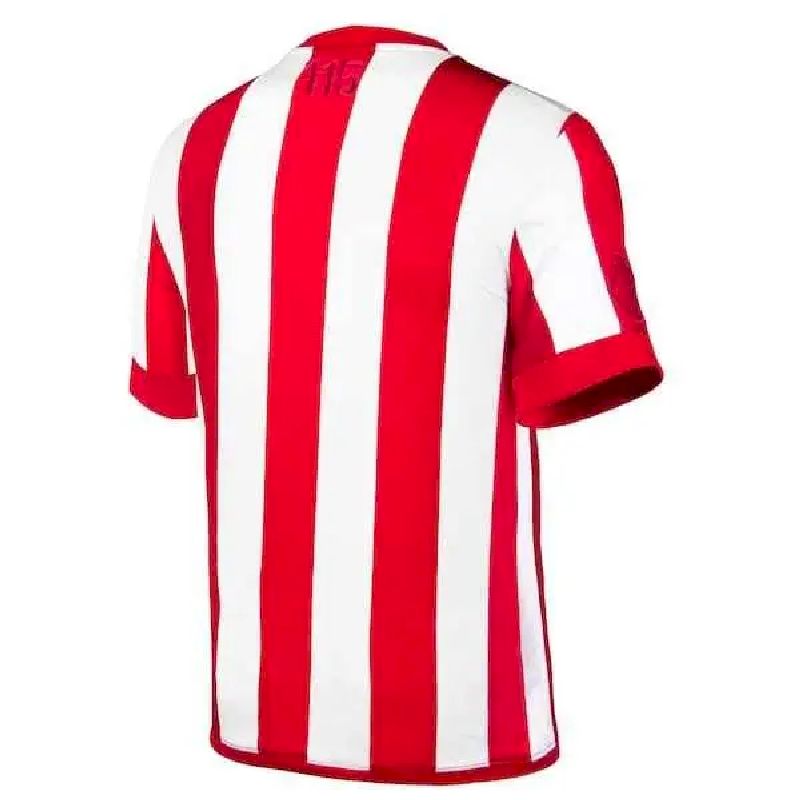 CAMISETA CHIVAS GUADALAJARA HOMBRE EDICION ESPECIAL 115 AÑOS